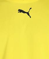 PUMA teamRISE Voetbalshirt Geel Zwart Wit - thumbnail