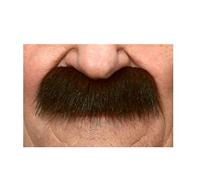 Snor My Other Me Bruin - thumbnail