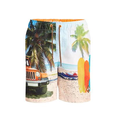 WE Fashion zwemshort met all over print lichtblauw/multi WE Fashion zwemshort met all over print lichtblauw/multi