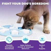 Nina Ottosson puppy smart - thumbnail