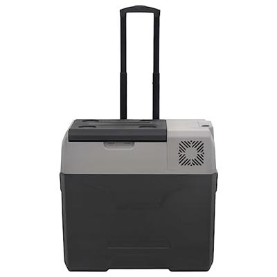 Koelbox met wielen en handvat 30 L polypropeen zwart en grijs