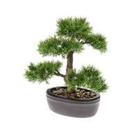 Zijdeplant Bonsai Cedar kunstplant Driesprong Collection - Driesprong collection - thumbnail