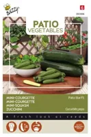 Patio Veggies Courgette Patio Star F1 zaden Buzzy - Buzzy - thumbnail