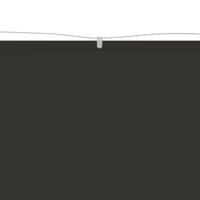 Luifel verticaal 60x800 cm oxford stof antracietkleurig - thumbnail