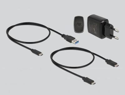 Delock 64177 USB-C Harde schijf-dockingstation Met clone-functie Delock 64177 USB-C Harde schijf-dockingstation Met clone-functie