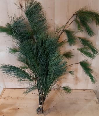 Kerstgroen langwerpige naalden Warentuin Natuurlijk - Warentuin natuurlijk