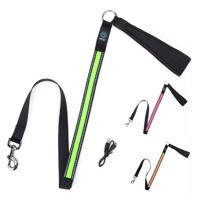 Nobleza Hondenriem met verlichting - Oplaadbaar - 120 cm - thumbnail