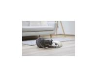 Smidd aluminiumpanna - GSW - BARISA - 32 cm - Induktion - thumbnail