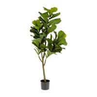 Kave Home Kunstplant 'Ficus' - thumbnail