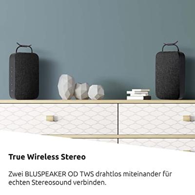 TechniSat Bluspeaker TWS XL Bluetooth speaker Zwart