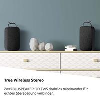 TechniSat Bluspeaker TWS XL Bluetooth speaker Zwart - thumbnail