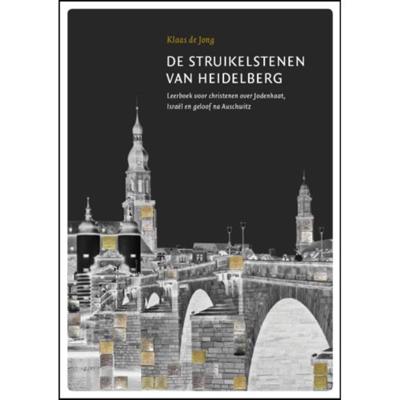 De struikelstenen van Heidelberg - Klaas de Jong - Paperback (9789081891400)