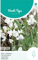 Zaden Lathyrus Reuk- of Siererwt Royal Family Wit Hortitops - Hortitops - thumbnail