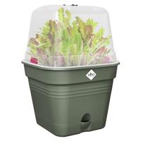 Elho green basics growpot square all-in-1 leaf green 15 - thumbnail