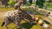 Zoo Tycoon Ultimate Animal Collection - thumbnail
