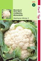 Zaden Bloemkool Walcheren Winter 5 Hortitops - Hortitops - thumbnail