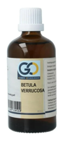 GO Gemmo Oplossingen Betula Verrucosa Bio Tinctuur - thumbnail
