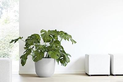 Ecopots Oslo kunststof bloempot Wit/Grijs - Ø 42,8 cm Ecopots Oslo kunststof bloempot Wit/Grijs - Ø 42,8 cm