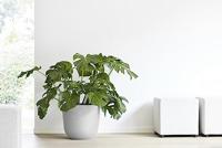 Ecopots Oslo kunststof bloempot Wit/Grijs - Ø 42,8 cm - thumbnail