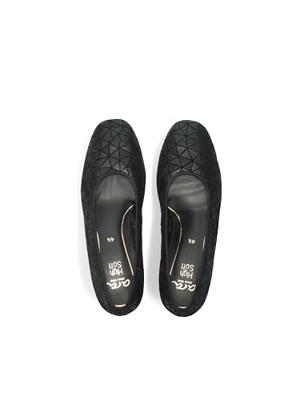 Ara 1221838 - alle