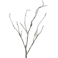 Wood Twig Cordata 95 cm kunsttak Erutan Avon - Erutan avon - thumbnail