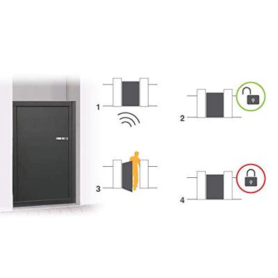 Avidsen 102270 Elektrische deuropener