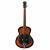Fazley RSN-30 roundneck single cone resonatorgitaar