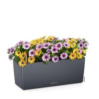 Bloempot Lechuza Zwart Grijs Polypropyleen - thumbnail