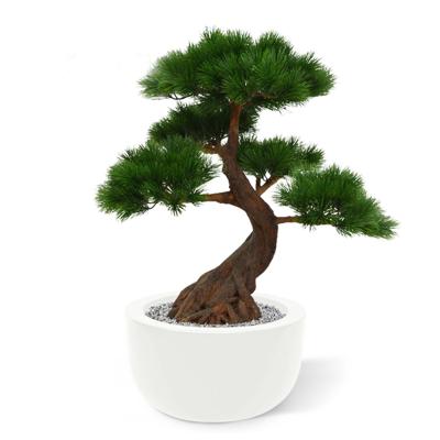 Pinus Bonsai x5 deluxe kunstplant op voet 80cm - UV bestendig