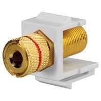 Rutenbeck 17000608 Adapter Bus, recht 1 stuk(s) - thumbnail