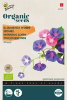 Zaden Organic Ipomoea Klimmende Winde gemengd (BIO) Buzzy - Buzzy - thumbnail