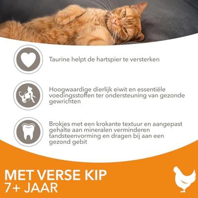 Iams Senior kattenvoer met verse kip 2 x 3 kg
