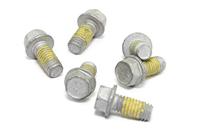 TRW bouten set screw set 6pcs. m6x1 - thumbnail