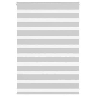 VidaXL Zebra rolgordijn 105x100 cm stofbreedte 100,9 cm lichtgrijs