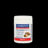 Lamberts Ashwagandha complex 60 Capsules - thumbnail