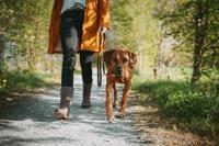 HUNTER Verstelbare hondenlijn Wolmar, khaki/oranje, Maat: 16/200 - thumbnail