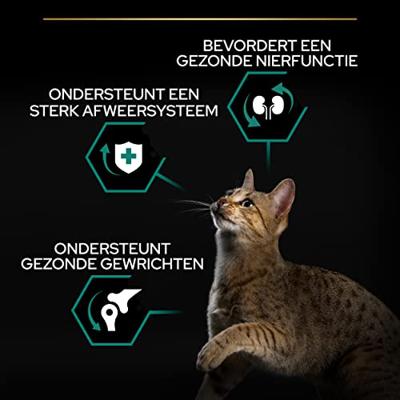 Purina Pro Plan Cat Original Adult 1+ 10kg Kip