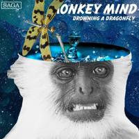 Drowning a Dragonfly - thumbnail