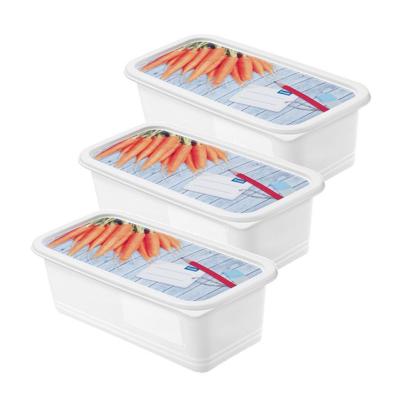 Rotho Diepvriesdozenset 3-delig 1,2L