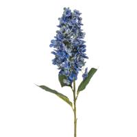 Hydrangea - thumbnail