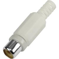 BKL Electronic 1108014 Cinch-connector Bus, recht Aantal polen: 2 Wit 1 stuk(s) - thumbnail