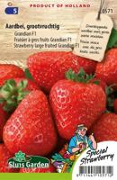 Fragaria Aardbei zaden Grandian F1 - thumbnail