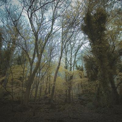 Time Lapse - CD (0702224128323) Time Lapse - CD (0702224128323)