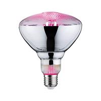 Paulmann LED-plantenlamp groei 230 V E27 6.5 W Barnsteen 1 stuk(s) - thumbnail
