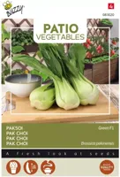 Patio Veggies Pak Choi Green zaden Buzzy - Buzzy - thumbnail