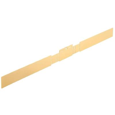 Weidmüller KLIPPON COPL 165609 1391020000 Aardingsplaat (l x b) 656 mm x 60.5 mm Messing Messing 1 stuk(s)