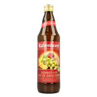 Rabenhorst Gember-Mix Sap - thumbnail