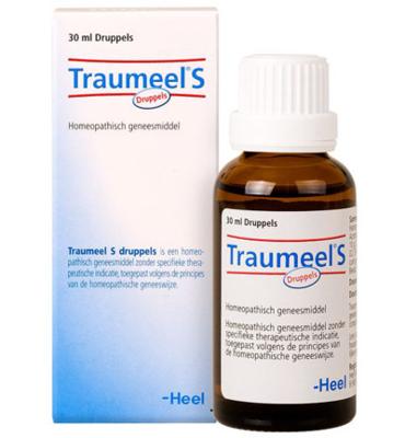 Heel Traumeel S Druppels 100ml Heel Traumeel S Druppels 100ml