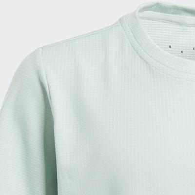 ADIDAS VOETBALSCHOEN NEMEZIZ 17.3 FIRM GROUND CP8988