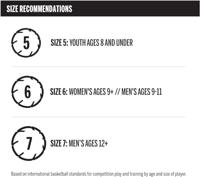 Wilson Basketbal Authentic Outdoor - thumbnail